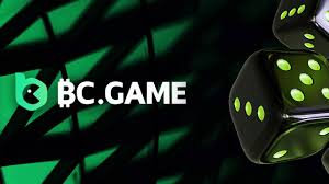 Ultimate Guide to BC GAME Hack