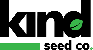 Exploring the Best Sources for Weed Seeds NYC Exploring the Best Sources for Weed Seeds NYC