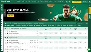 Exploring the Thrills of BetWinner