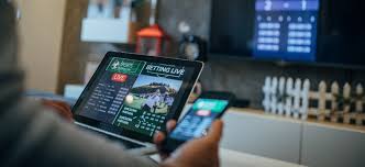 Understanding Bhang Bet A Deep Dive into the World of Betting